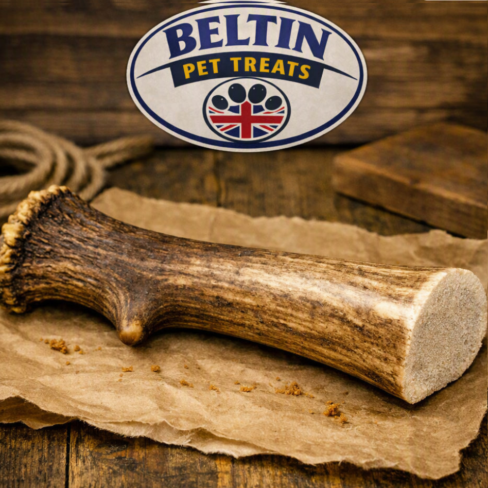 XL Deer Antler