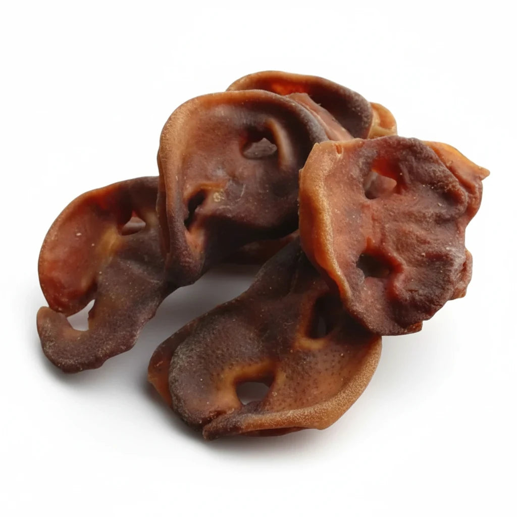 Beltin Pet Treats natural pig snout dog chews, a high-protein, long-lasting single-ingredient snack for dogs.
