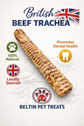 A promotional graphic for Beltin Pet Treats showing a long, ridged cylindrical beef trachea treat on a light textured background. Text includes 'British Beef Trachea,' 'Promotes Dental Health,' '100% Natural,' and 'Locally Sourced,' with small icons and a Union Jack flag.