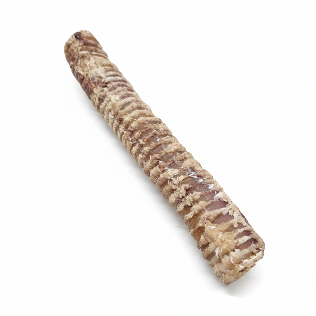British beef trachea dog chew on white background
